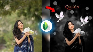 Snapseed Grey & Bird Effect Photo Editing Tricks 2023 || Snapseed Background Colour Change Tutorial