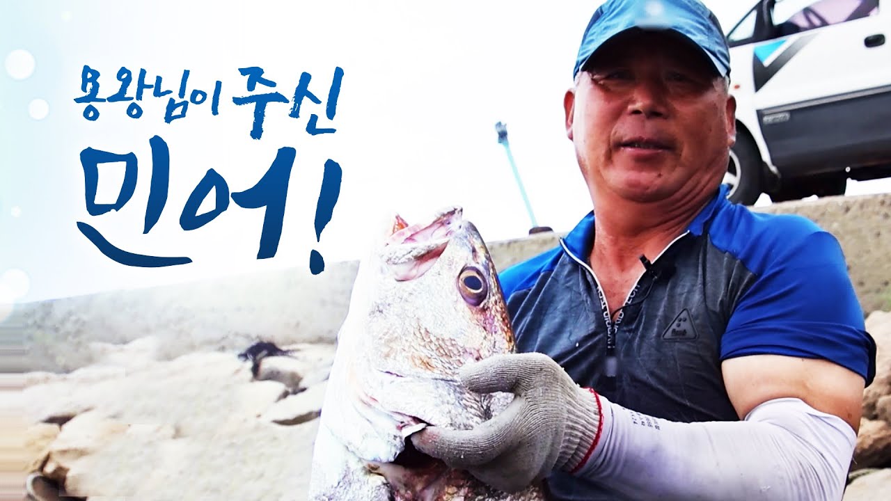 대나무 막대 바다에 넣으면 민어 울음소리가 들립니다. 빡~ 빡 빡~ 그 소리 듣고 민어 잡습니다 ㅎㅎ 그물 당길때 노래는 빠질수 없지 ㅎㅎ 