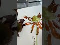 How To Host A Memorable Art Workshop