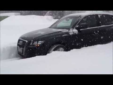 Audi Quattro vs BMW xDrive in Snow  \ Ауди или БМВ кто есть кто ?!