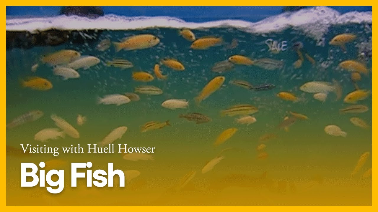 Big Fish | Visiting with Huell Howser - YouTube