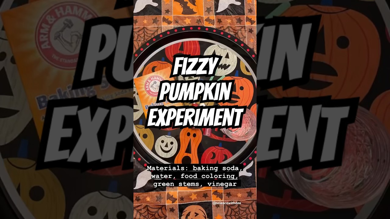 Fizzy Pumpkin Experiment