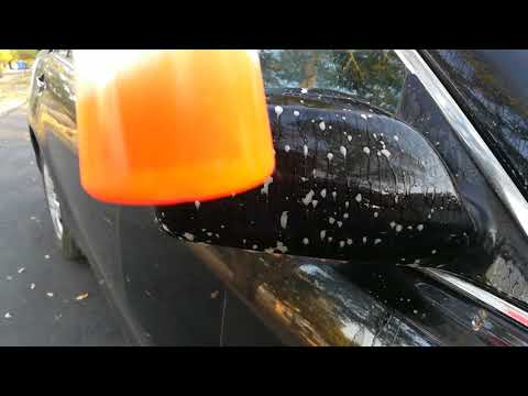 The Secret To Tree Sap Removal, Tar Removal, and Bug Removal From Car▶️ Hint: It&rsquo;s Orange