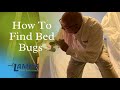 How to find bed bugs/ How to Know If You Have Bed Bugs in Lexington SC
