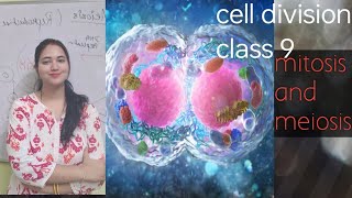 cell division (Mitosis and Meiosis)in detail