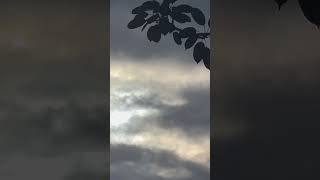 Gimmie Liang引光喚雲2026082301