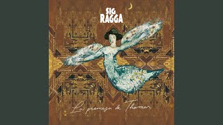 Girasoles - Sig Ragga