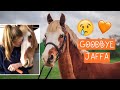 GOODBYE JAFFA-CAKE ~ Our journey and his new owners