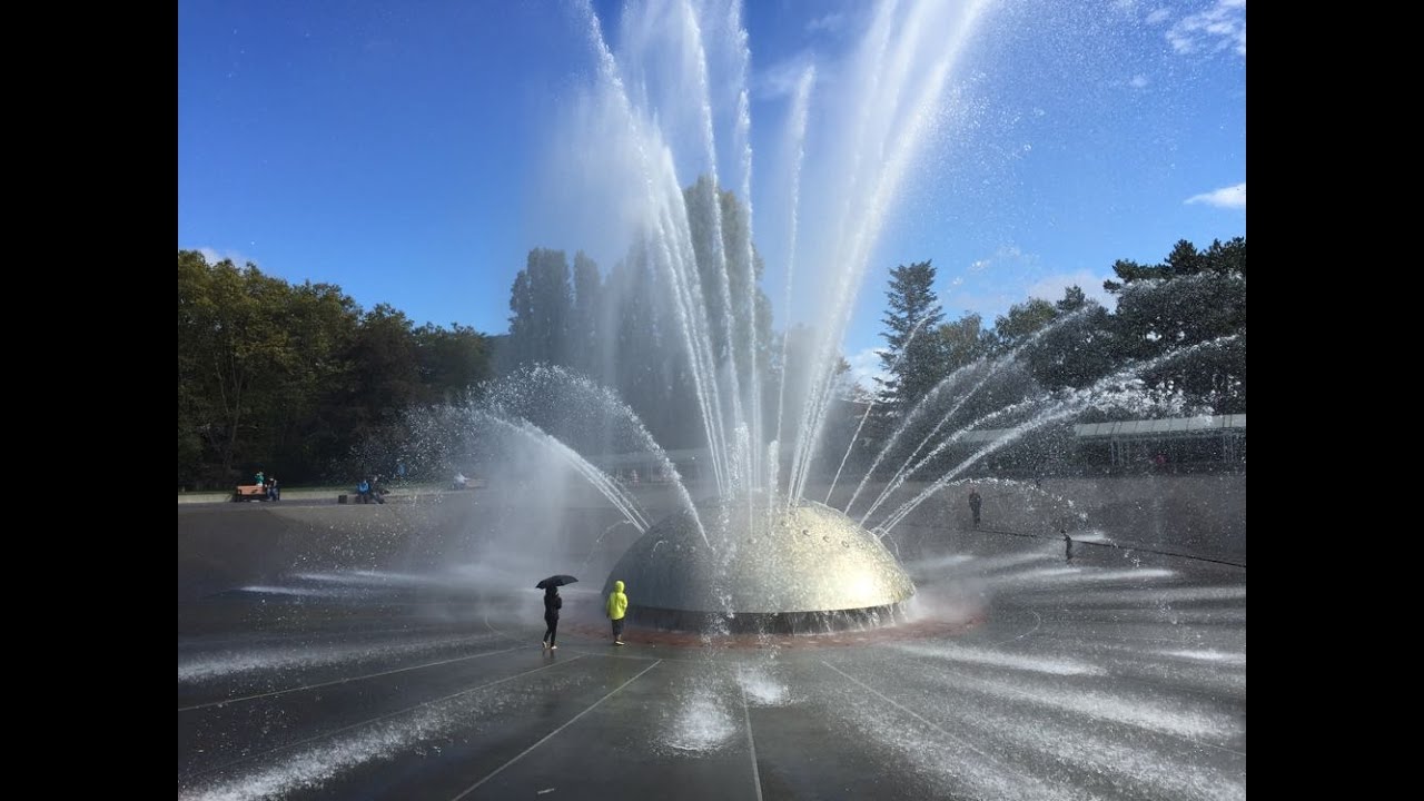 Things to Do in Seattle with Kids