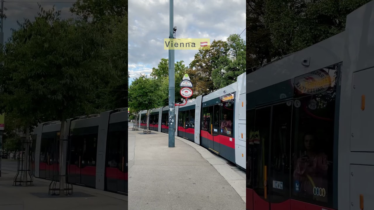 Trams take you through all of Vienna 🇦🇹😍👍❤️ 