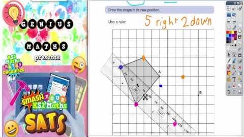 Sample SATS Paper 3 Reasoning Q8