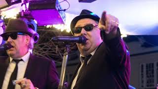 Video thumbnail of "Everybody Needs Somebody - Blues Brothers Little Brother"