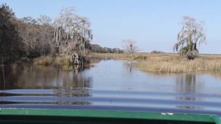 The Everglades Trailer