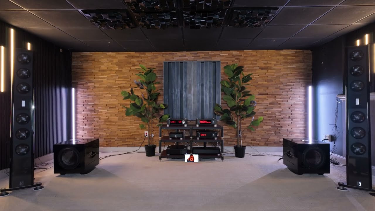 Borresen X6 & Aavik i180 Beautiful midrange