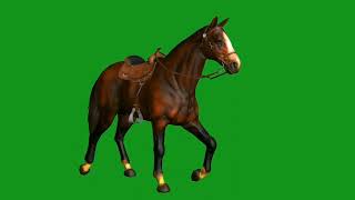 horse walk slowly green screen effects  | Green Screen Master