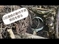 有害鳥獣捕獲員の日常72【罠の手直し】