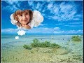 Shape Mask Effect In Photoshop CS6 In Tamil
