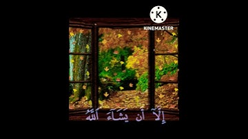 القارئ: ياسر الدوسري //حالات واتس اب دينية
