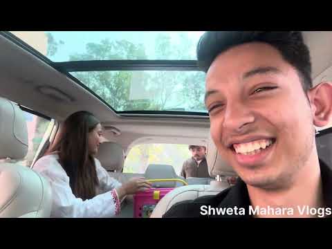 Mayank ki hinglish 🤣🤣 || Shweta Mahara