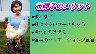 障子の張替え　紙をやめて布にしたらメリットたくさん　張るのも簡単