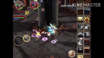 Order and chaos online pvp (iOS)