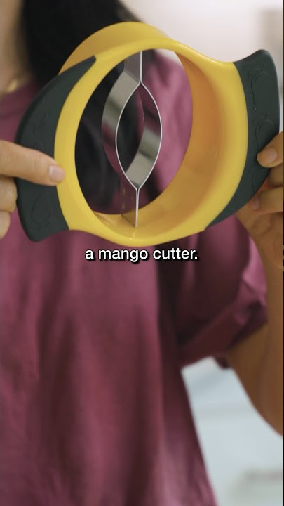 Williams Sonoma OXO Good Grips Mango Slicer