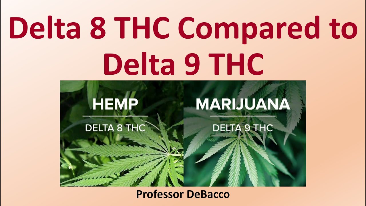 How Is Delta 8 Thc Different From Delta 9 - Thc|Products|Cannabis|Effects|Cbd|Delta|Marijuana|Cannabinoids|Hemp|Drug|Receptors|States|Product|Cannabinoid|Body|Plant|People|Benefits|Delta-9|System|Users|Compounds|Effect|Pain|Dose|Anxiety|Side|Research|Brain|Time|State|Way|Compound|Plants|Laws|Health|Delta-8|Cb1|Level|Form|Delta-9 Thc|Thc Products|Endocannabinoid System|Psychoactive Effects|Cannabis Plant|Cbd Products|Side Effects|Cb2 Receptors|Farm Bill|Nervous System|United States|Drug Interactions|Cannabis Plants|Hemp-Derived Delta|Federal Level|Entourage Effect|Cb1 Receptors|Hemp Plant|Drug Administration|Many People|Therapeutic Benefits|Many States|Cbd Oil|Psychoactive Properties|Double Bond|Full Spectrum Cbd|Dry Weight|Negative Effects|Medical Marijuana|Health Benefits