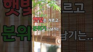 햇살은 걸러주고, 감성은 더해주는 대나무 블라인드