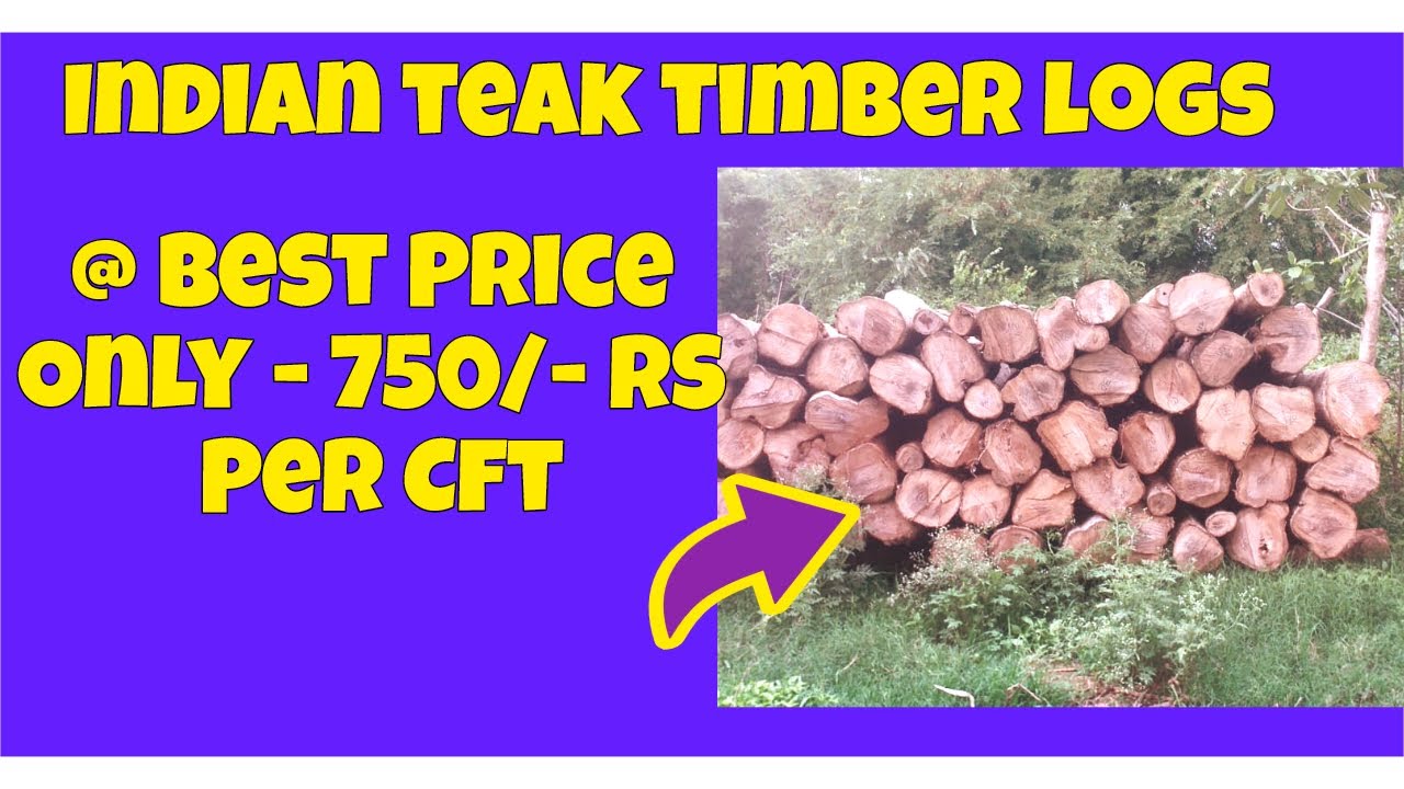 indian teak wood timber logs at very best price only 750/ rs per cft