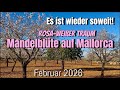 MALLORCA Island NEW MANDELBLÜTE Auf MALLORCA Das Highlight Zum Jahresbeginn Mallorca Travel MALLORCA Island NEW MANDELBLÜTE Auf MALLORCA Das Highlight Zum Jahresbeginn Mallorca Travel