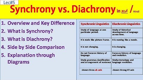 What is Synchrony and Diachrony in Linguistics|Explanation and example in Urdu Hindi|Literary World
