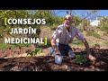 CONSEJOS para HACER un JARDIN MEDICINAL  | PARTE 2 - [PERMACULTURA]