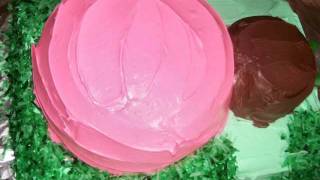 Construction of a Ladybug Cake