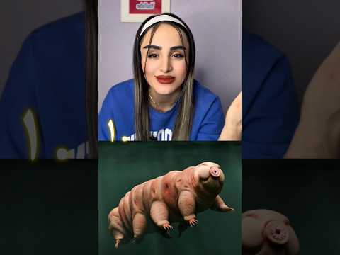 ۵تا از خابالوترین ها 