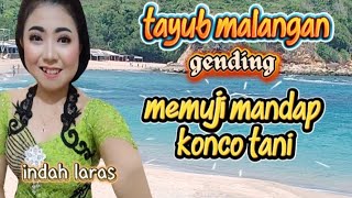 Tayub campursari ringkes JAVA NADA live di Ds balerejo kec Panggungrejo kab Blitar 