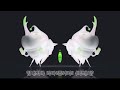 Larva Intro In G Major 12412 In 2x Speed 
