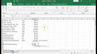 Simple Budget on Excel