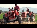 Old tractors plowing - FIAT, Fiatagri, Ford, New Holland & Same