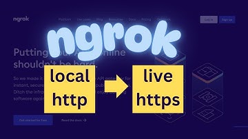 Setup and use Ngrok to make local site to world wide