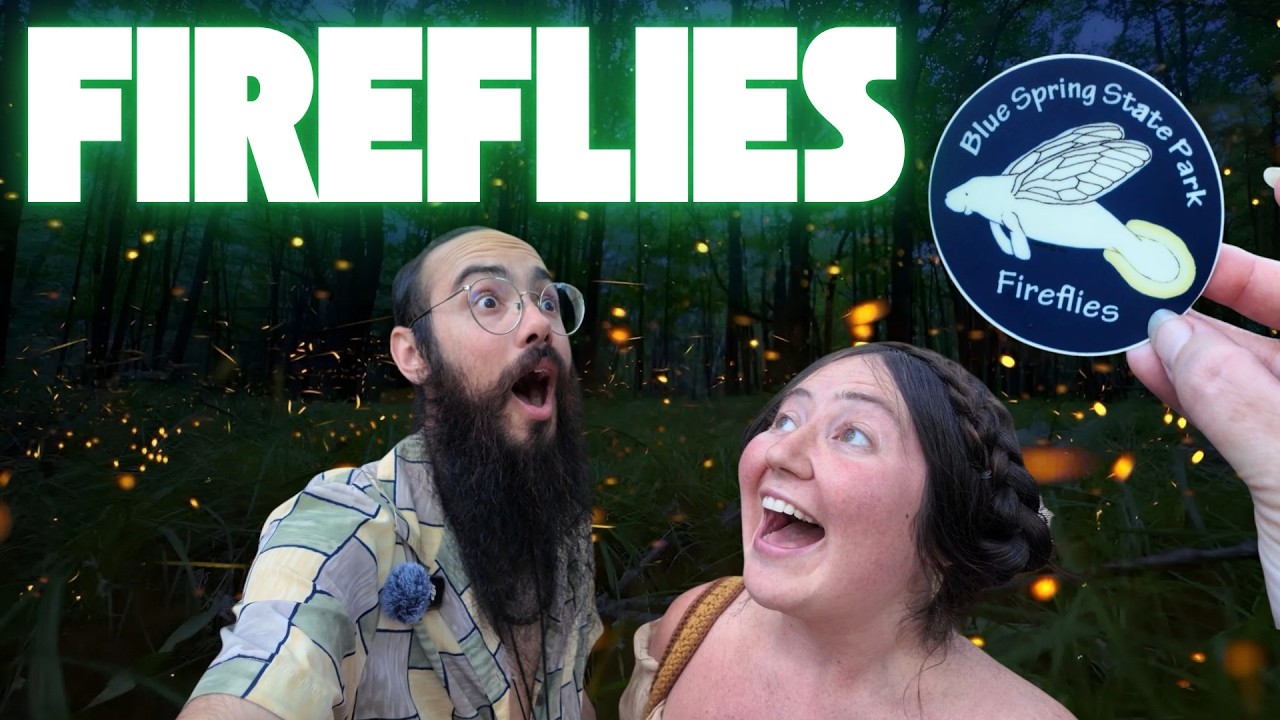 Spring Fire Flies This Happens ONLY Once a Year in Florida… Blue Spring Fireflies! - YouTube