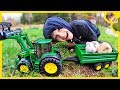 Tractors Harvesting Hay For Guinea Pigs!