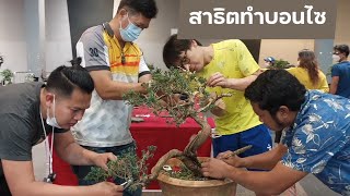 สาธิตทำบอนไซสน โดย อ.ตั้ม โคราชและชมรมบอนไซโคราช