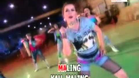 MALING nita thalia @ lagu dangdut