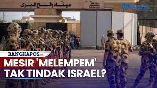 Mesir Dinilai Lambat Tak Tindak Tegas Israel, DuaTentaranya Ditembak Tewas IDF