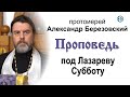 Проповедь под Лазареву Субботу (2021.04.23). Протоиерей Александр Березовский