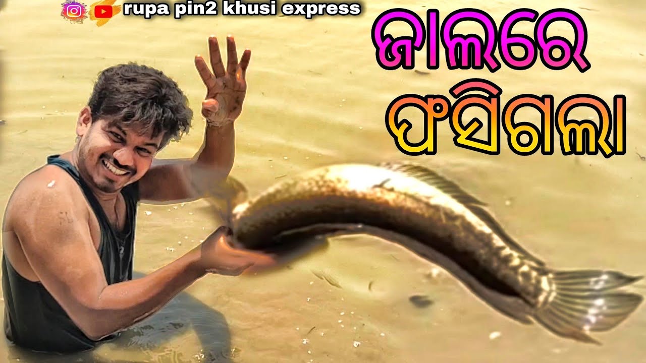 ଜାଲରେ ଫସିଗଲା / Rupa Pin2 Khushi