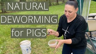 How we deworm our pigs naturally!