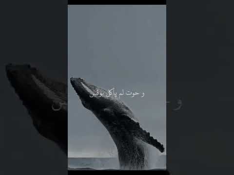 تقال العثار العظام به كن مع الله يكن الله معك