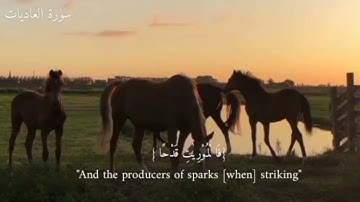 سورة العاديات♥️🌿|| Surah Al-Adiyat القارئ هزاع البلوشي.
