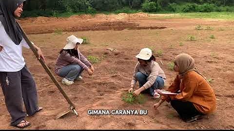 Tugas Video Kelompok 1 KPP KELAS E #komunikasidanpenyuluhanpertanianunhas2025 #agribisnisunhas #RAN